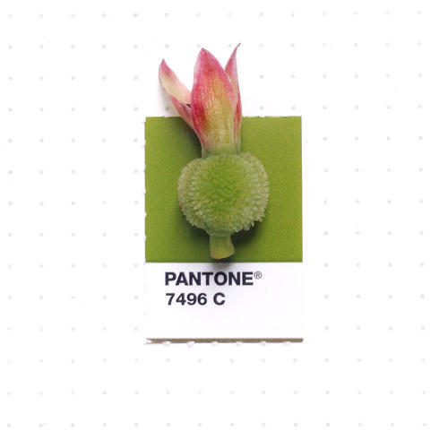 3048367-slide-s-18-20-tiny-objects-color-matched-with-pantone-chips