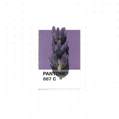 3048367-slide-s-20-20-tiny-objects-color-matched-with-pantone-chips