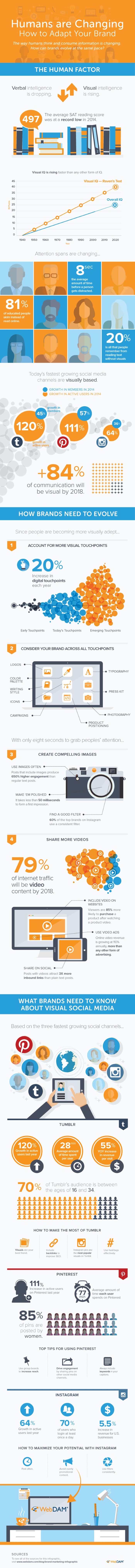 WebDAMVisualIntelligenceInfographic