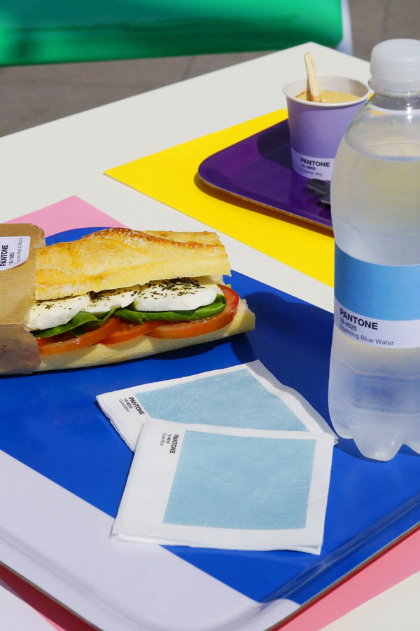 Pantone-Cafe-4-600