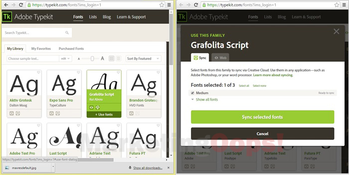 adobe type kit โหลดฟ้อน