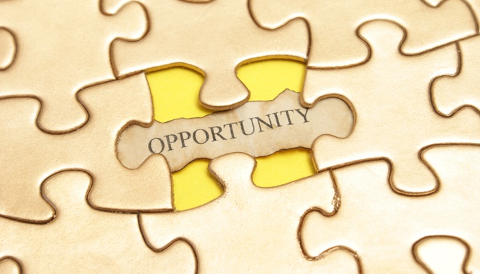 Golden Opportunity