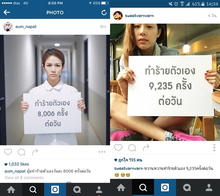 Napat_Chef-horz