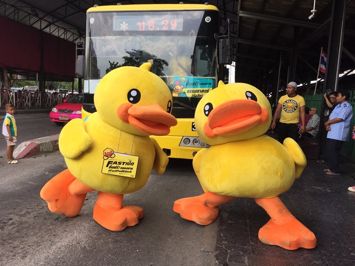 B.duck-1