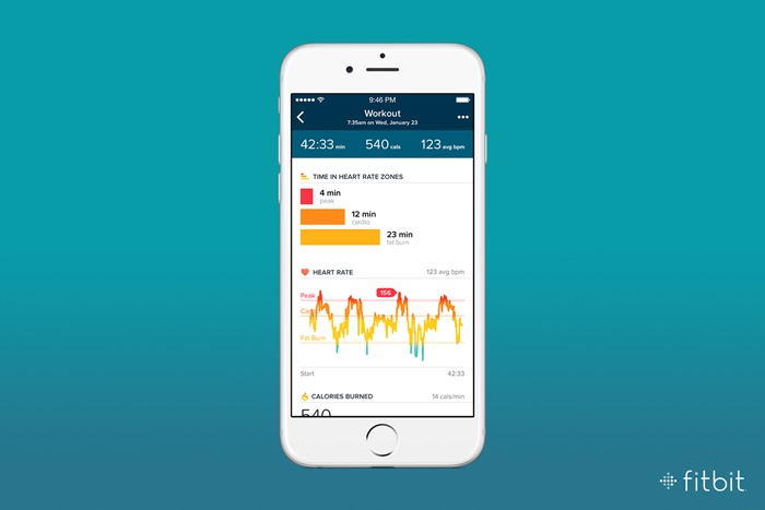 Fitbit-1