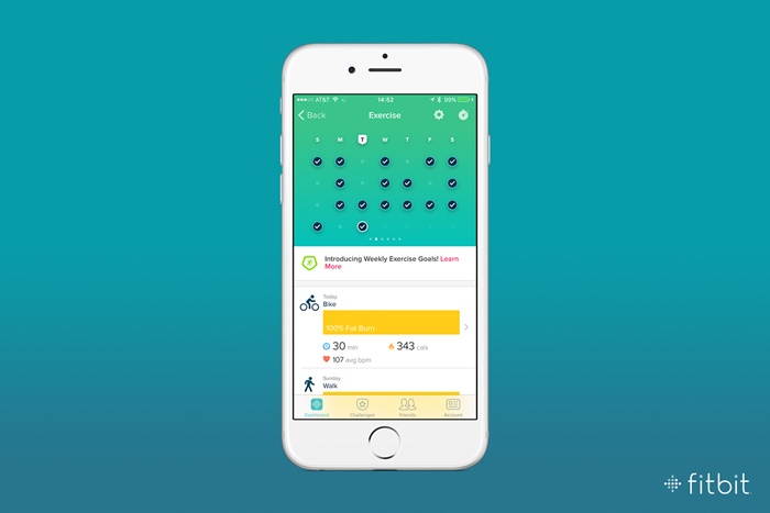 Fitbit-3