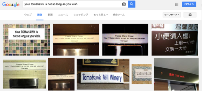 Japanese toilet2