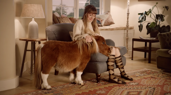 amazon-horse-hed