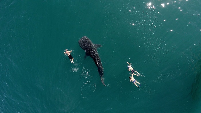 best-drone-photos-2015-dronestagram-eric-dupin-48__880