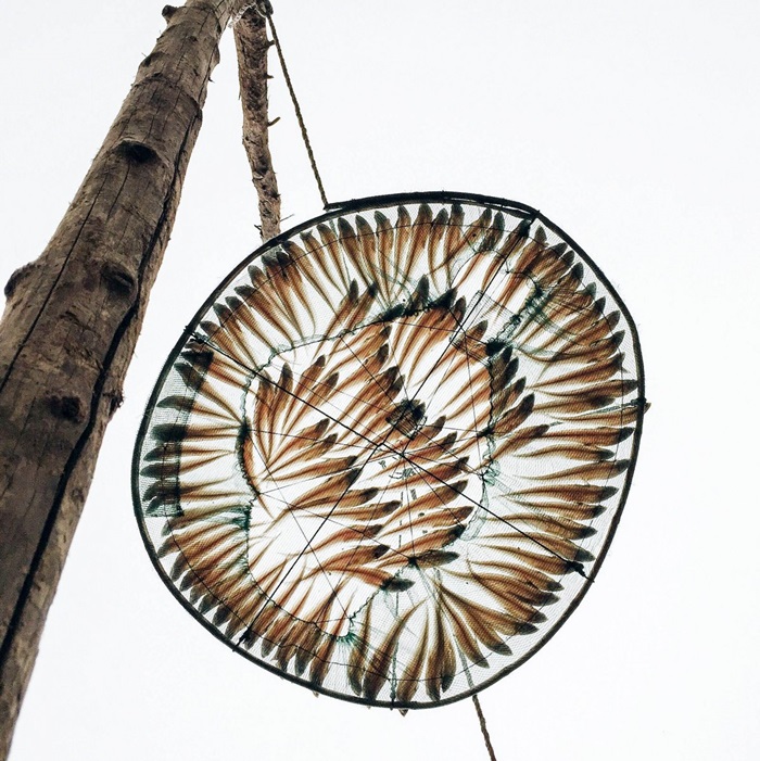we-might-not-even-have-realized-that-this-mesmerizing-picture-taken-by-xu-lin-is-of-drying-fish-if-it-didnt-win-the-award-for-food-pictures