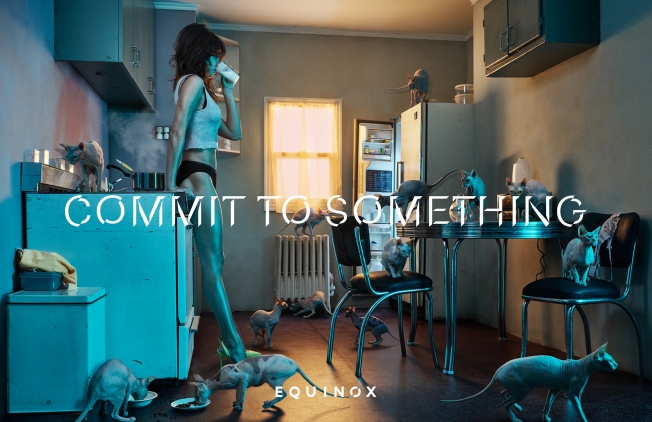 equinox-commit-to-something-3