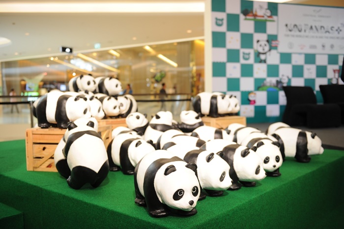 Pandas-World-Tour-in-Thailand-7