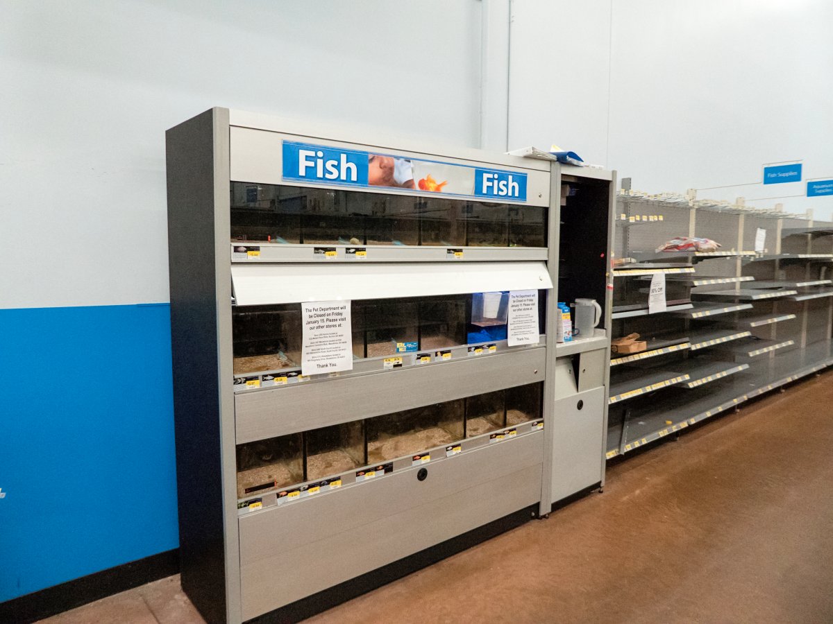 even-before-items-ran-out-walmart-had-shut-down-some-parts-of-its-business-like-the-pet-center