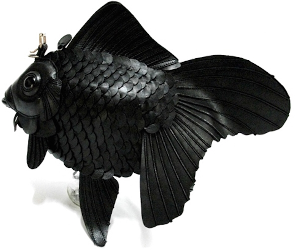 goldfish4