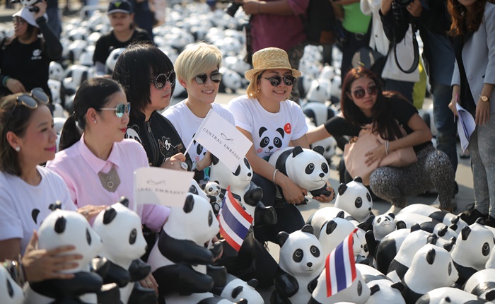 1600pandasplusth-2
