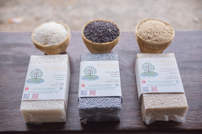 rice9