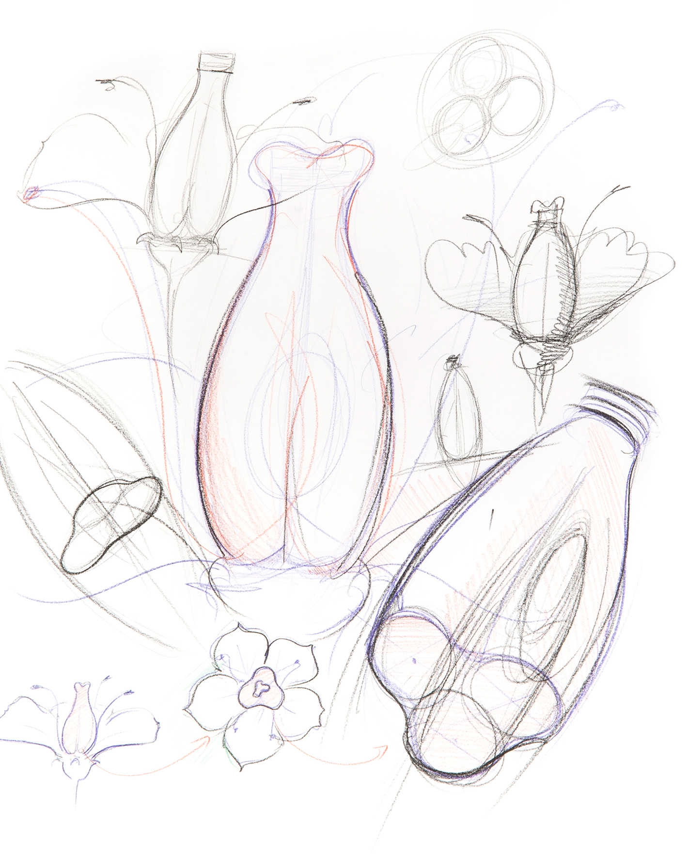 Sis-Natural-stop_sketch2