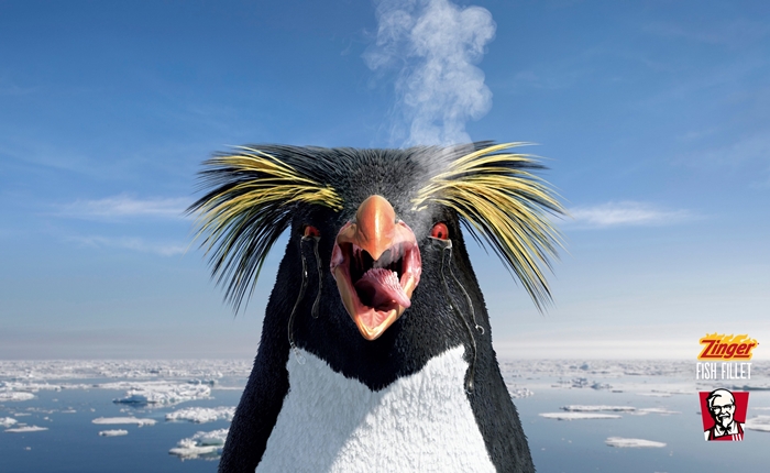 kfc-seal-pelican-penguin-print-384770-adeevee-highlight