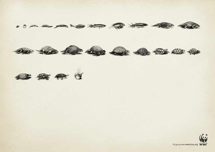 wwf-1
