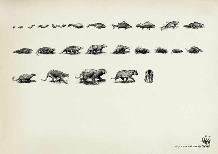 wwf-2