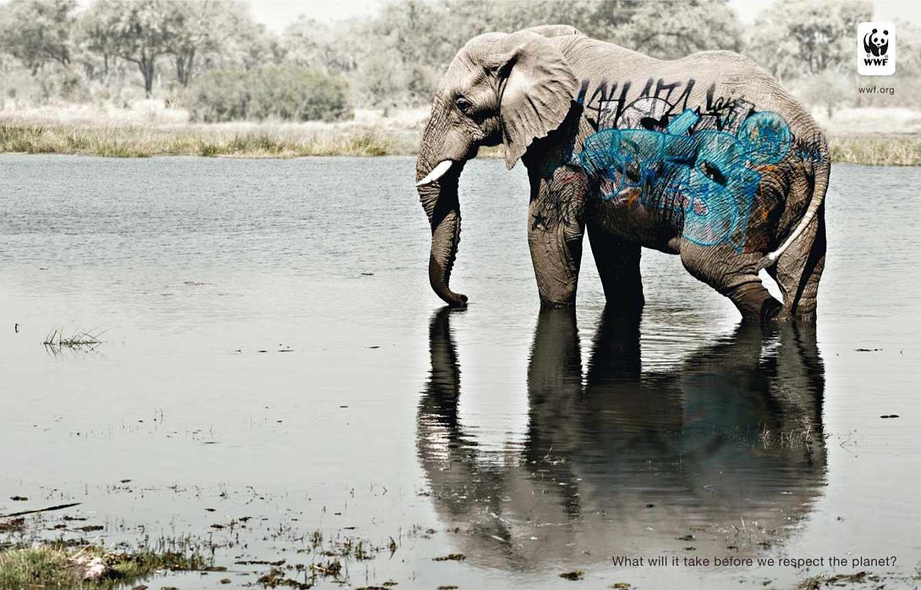 biodiversity-and-biosafety-awareness-elephant-2