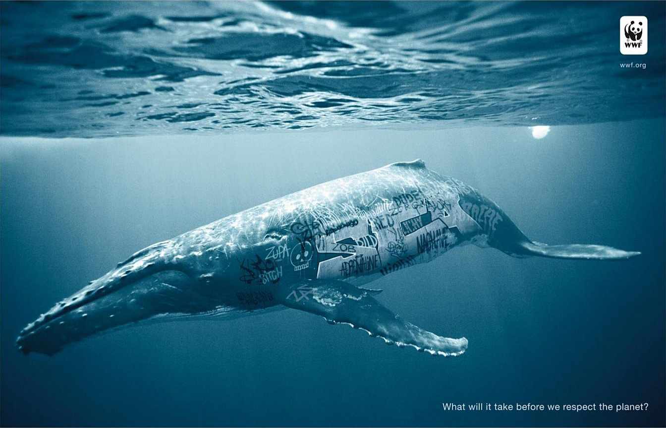 biodiversity-and-biosafety-awareness-whale