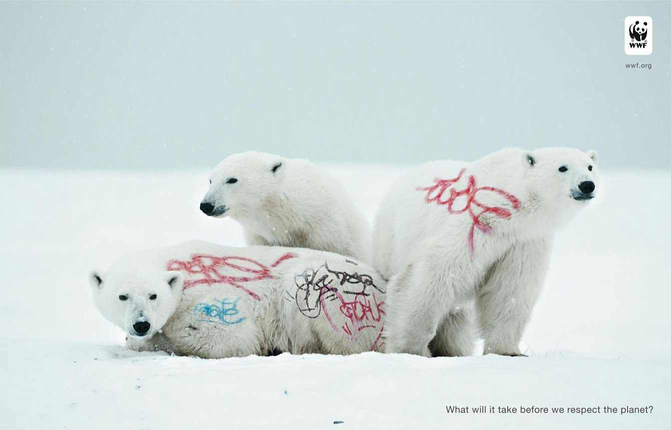 biodiversity-and-biosafety-awareness-white-bear