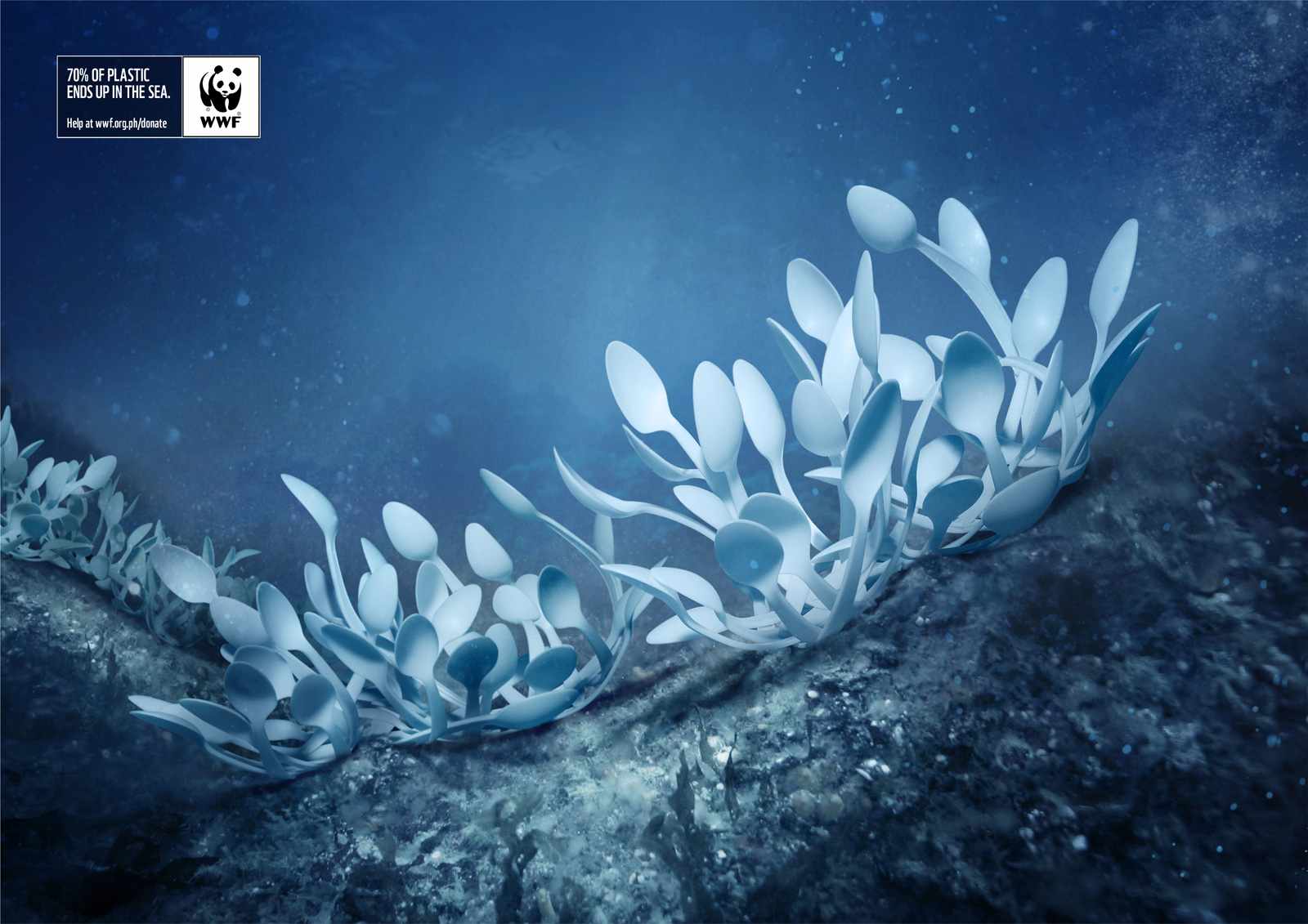 fan-corals