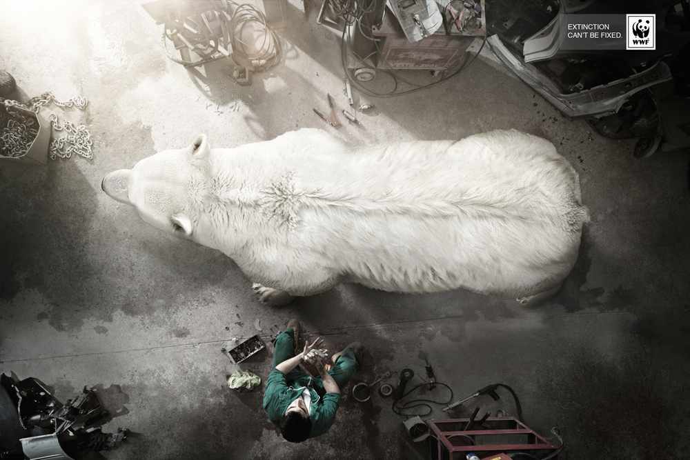 polarbear_0