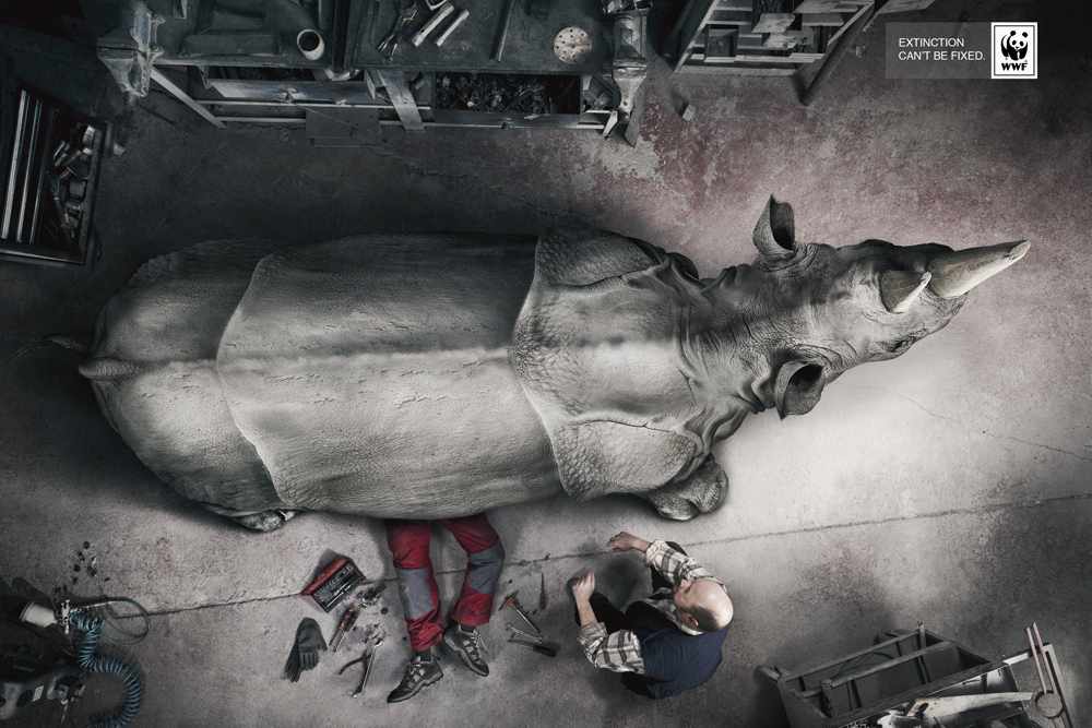 rhino_0