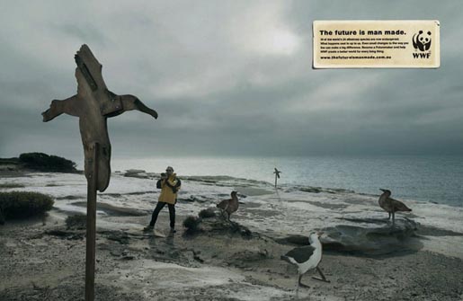 wwf-albatross