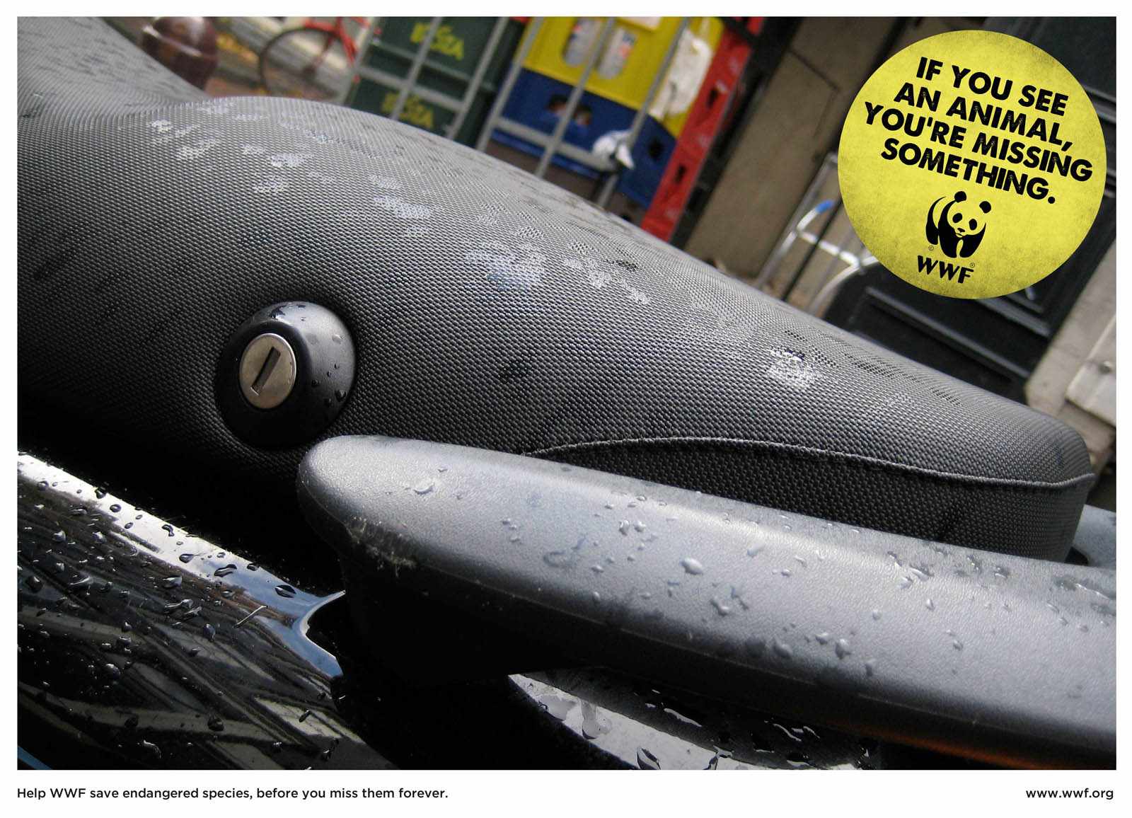 wwf-dolphin