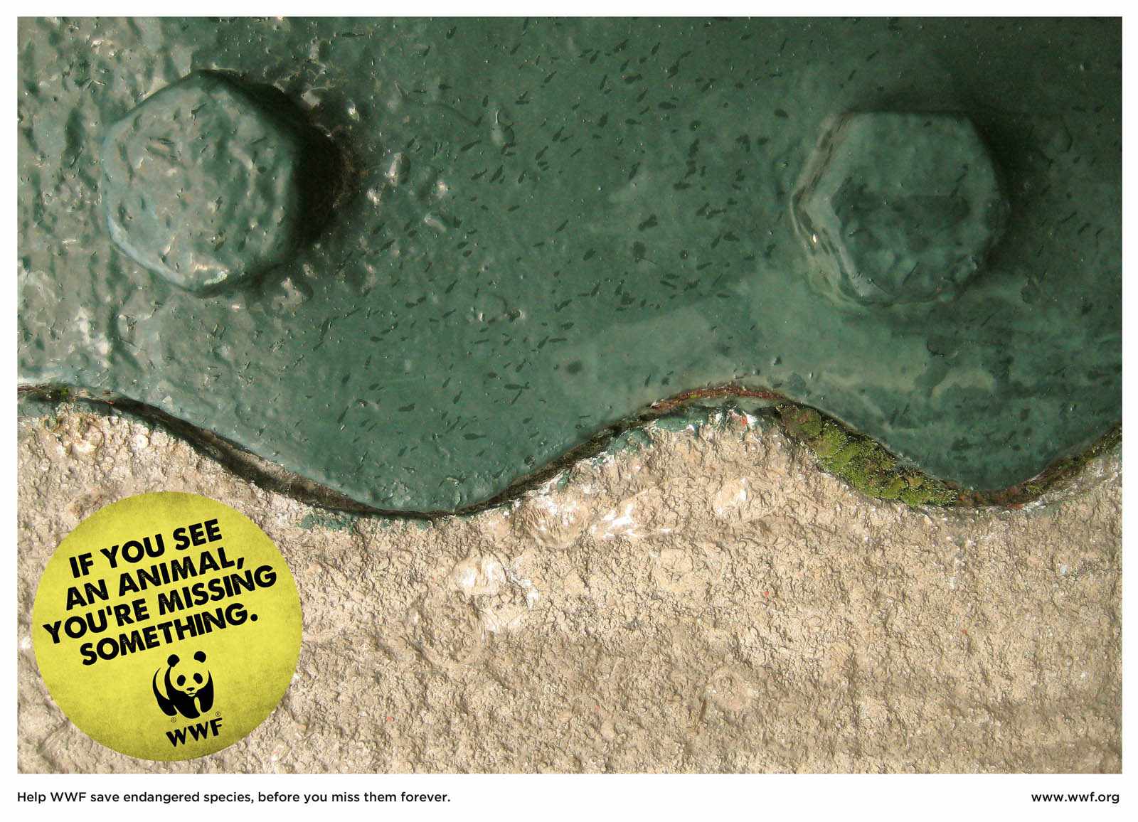 wwf-frog