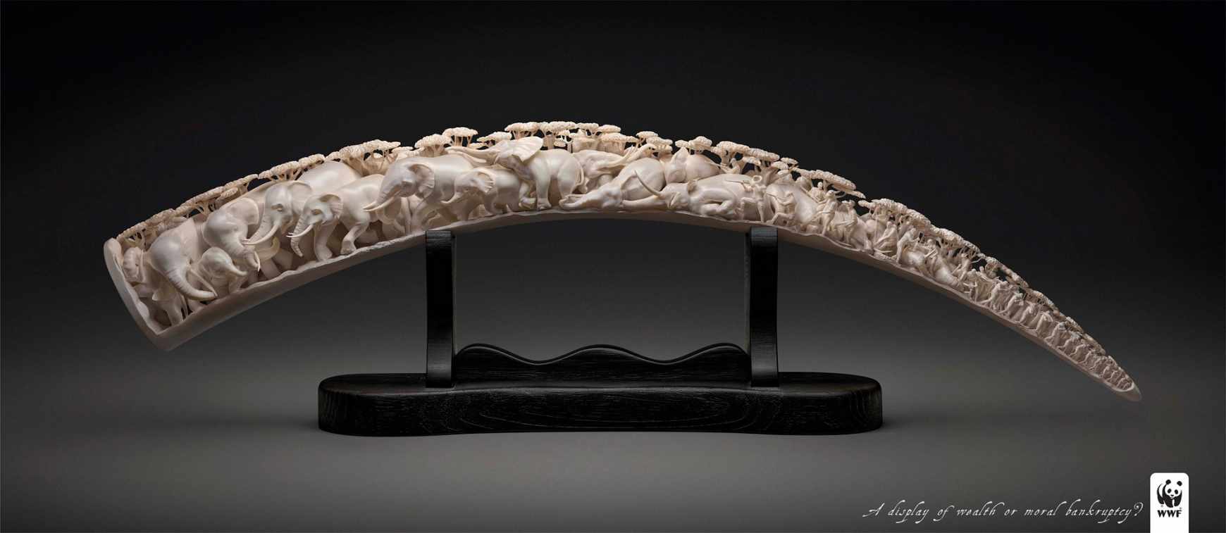wwf-ivory