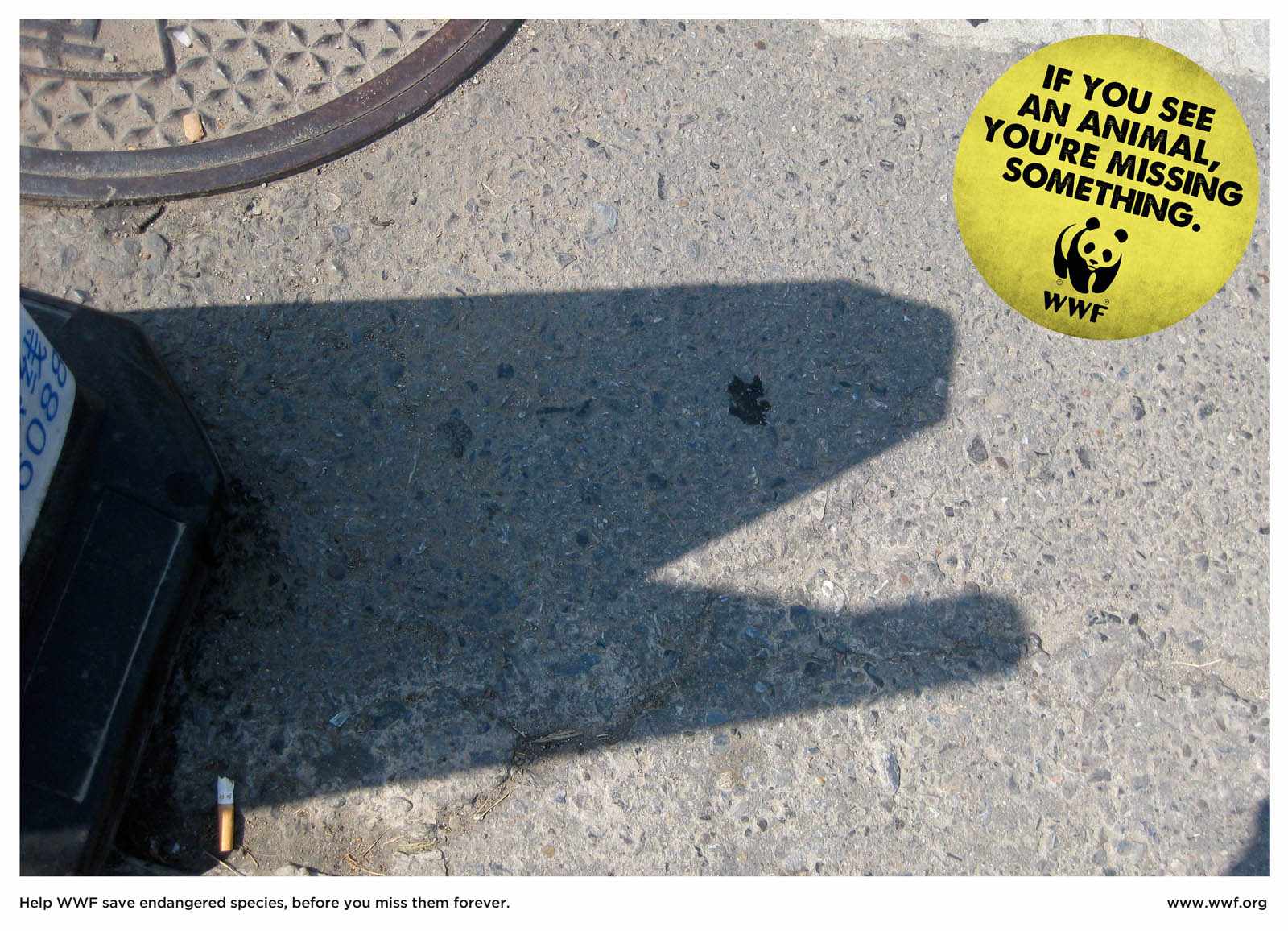 wwf-moray