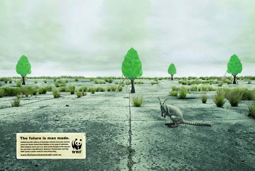 wwf-rock-wallaby