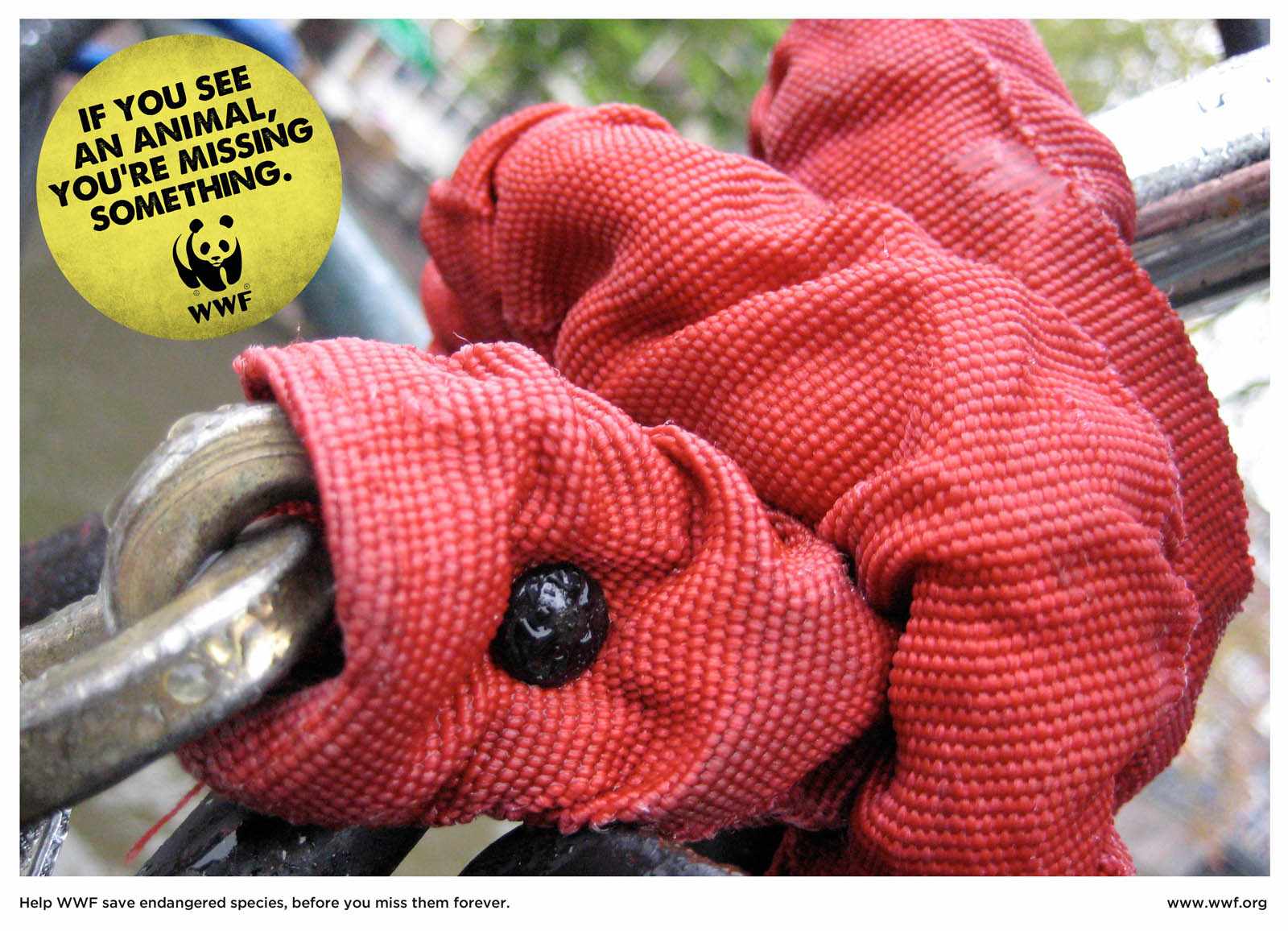 wwf-snake