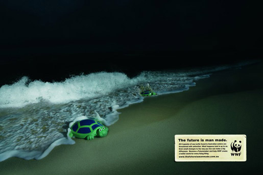 wwf-turtle