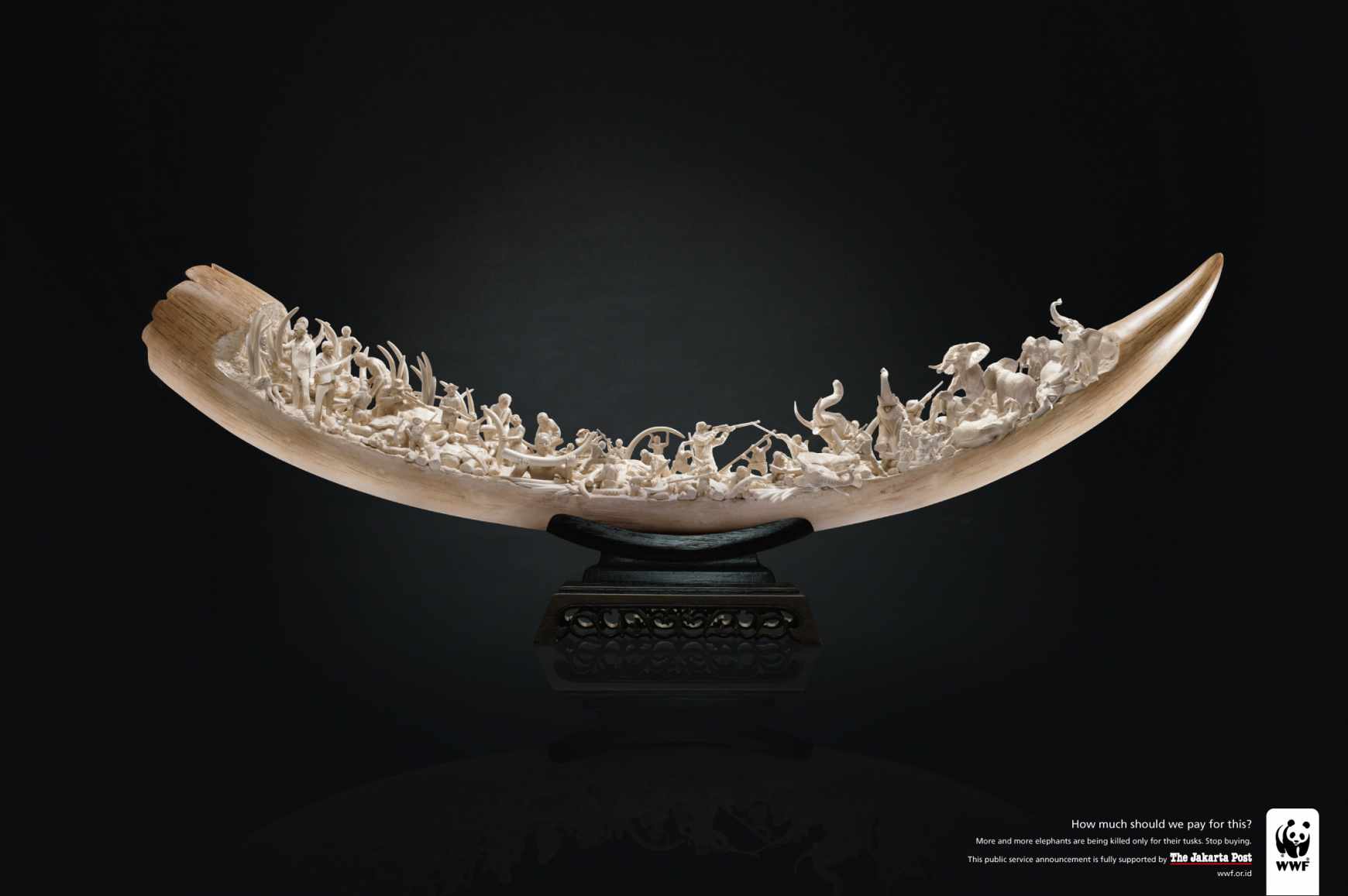 wwf-tusk-jakarta-post-lr