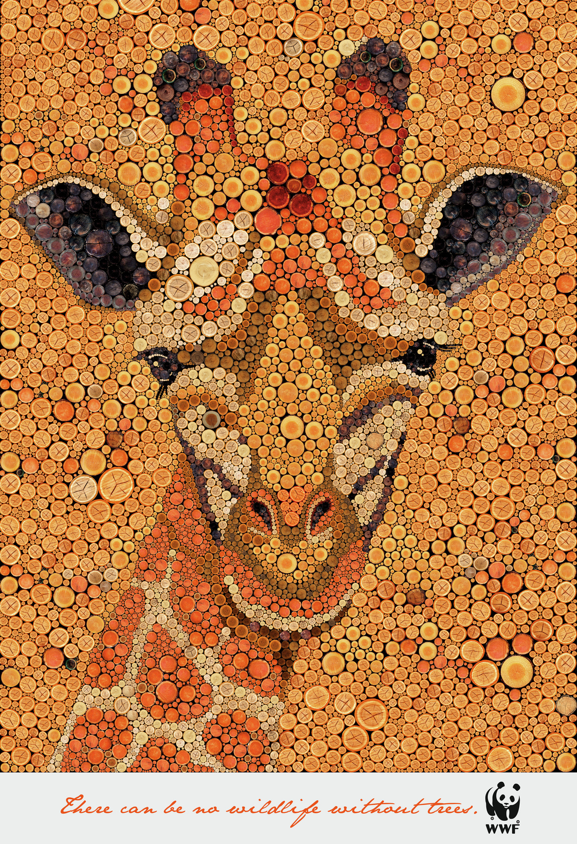 wwf-wwf-zebra-giraffe-bird-tiger-print-384958-adeevee