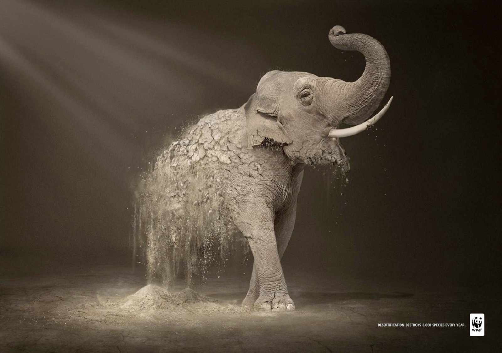 wwf_elephant