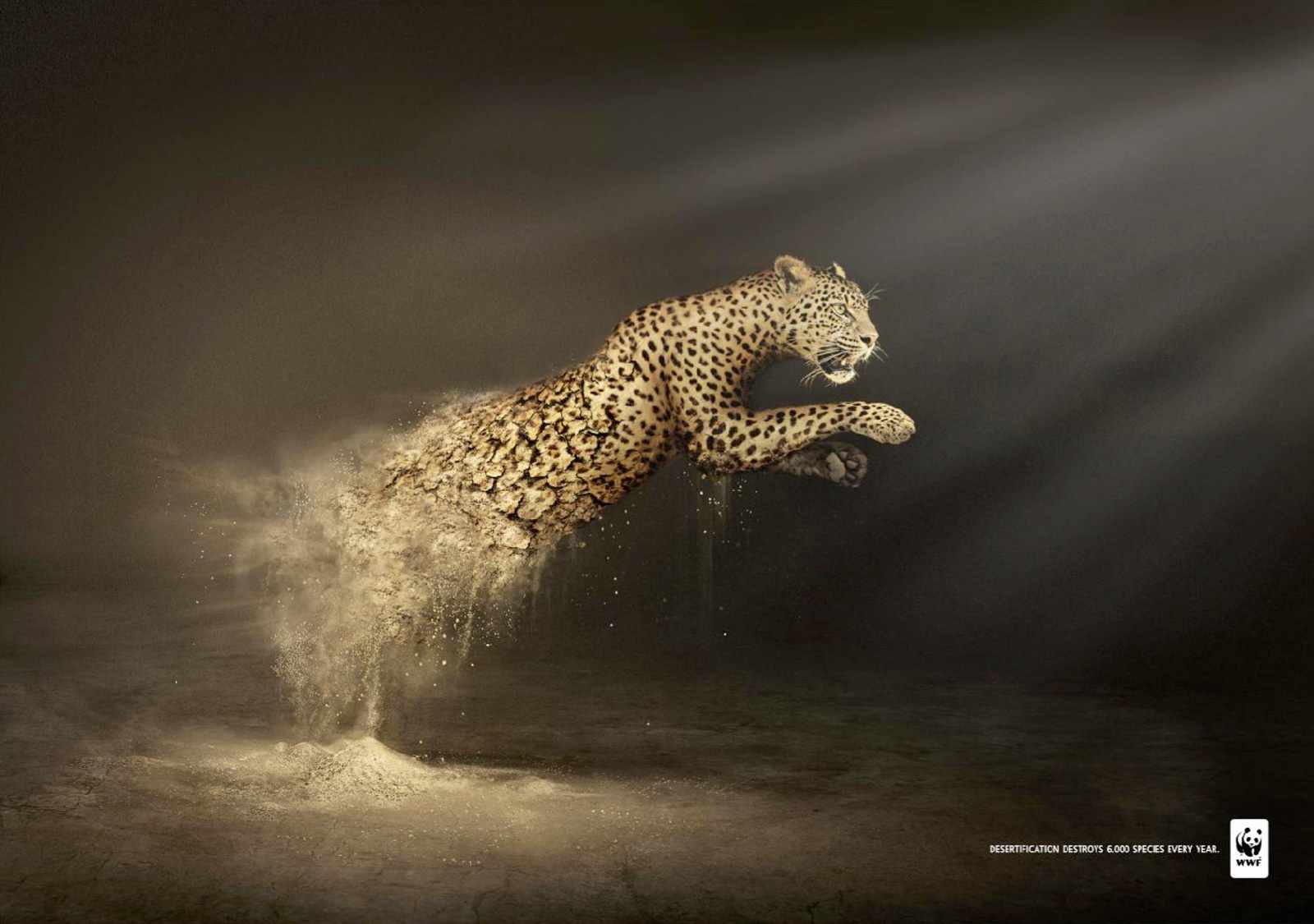 wwf_leopard_0