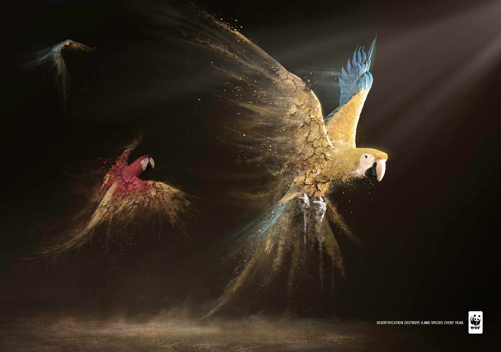 wwf_parrots