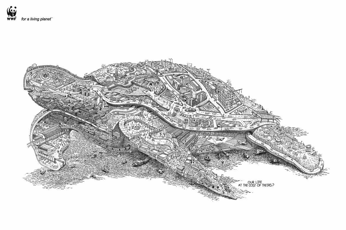 wwfturtle