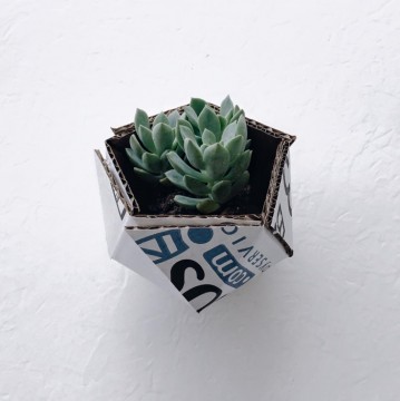 zappos-box 02 700