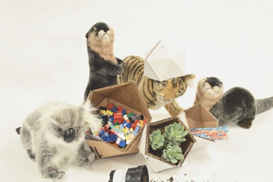 zappos-box 07 700