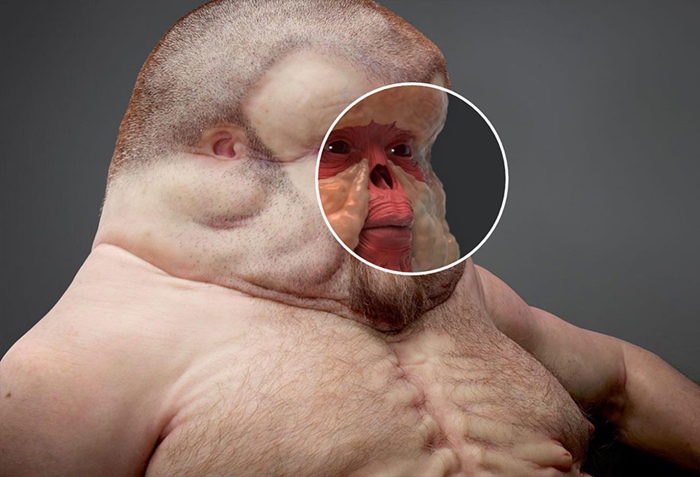 Meet Graham8