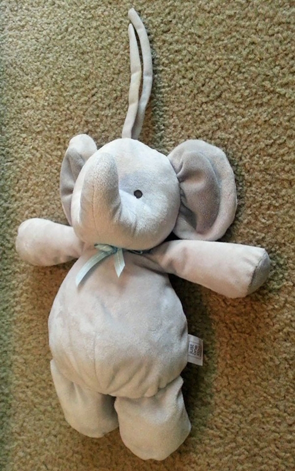 elephant1
