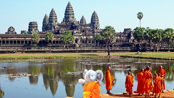 elephant7