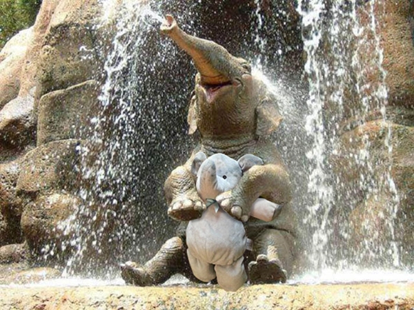 elephant8